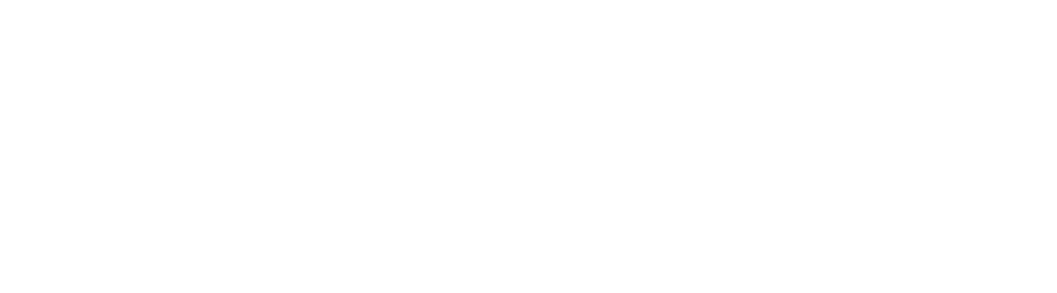 Steuergeraet Rezek